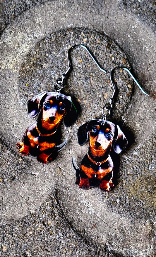 Pendientes perro salchicha para mujer en Acero y Acrílico. Posa sobre baldosa.